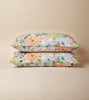 Petoskey Bundle